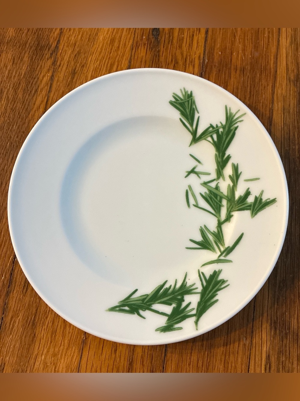 Dibbern Collection Schönwald Herbaticum Salad 7.5" Plate ROSEMARY